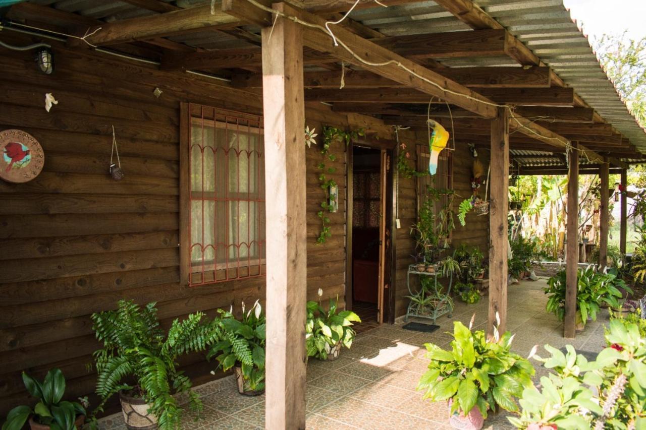 La Cabana De Blanca Jalpan de Serra Buitenkant foto