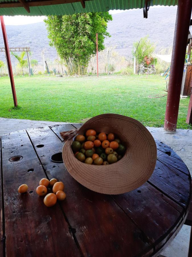 La Cabana De Blanca Jalpan de Serra Buitenkant foto