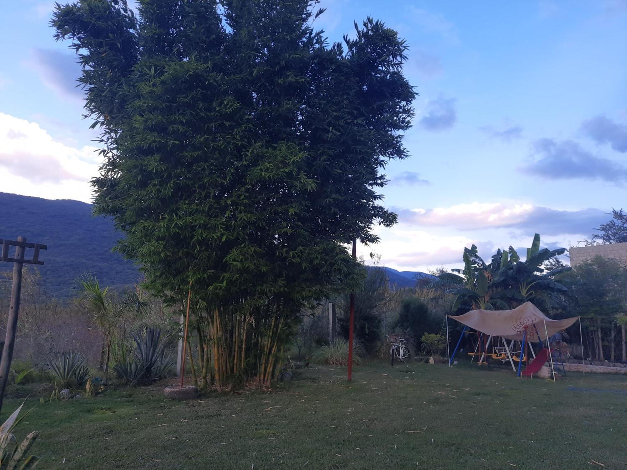 La Cabana De Blanca Jalpan de Serra Kamer foto
